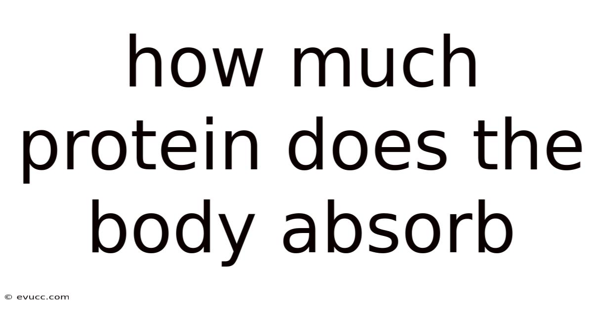 How Much Protein Does The Body Absorb