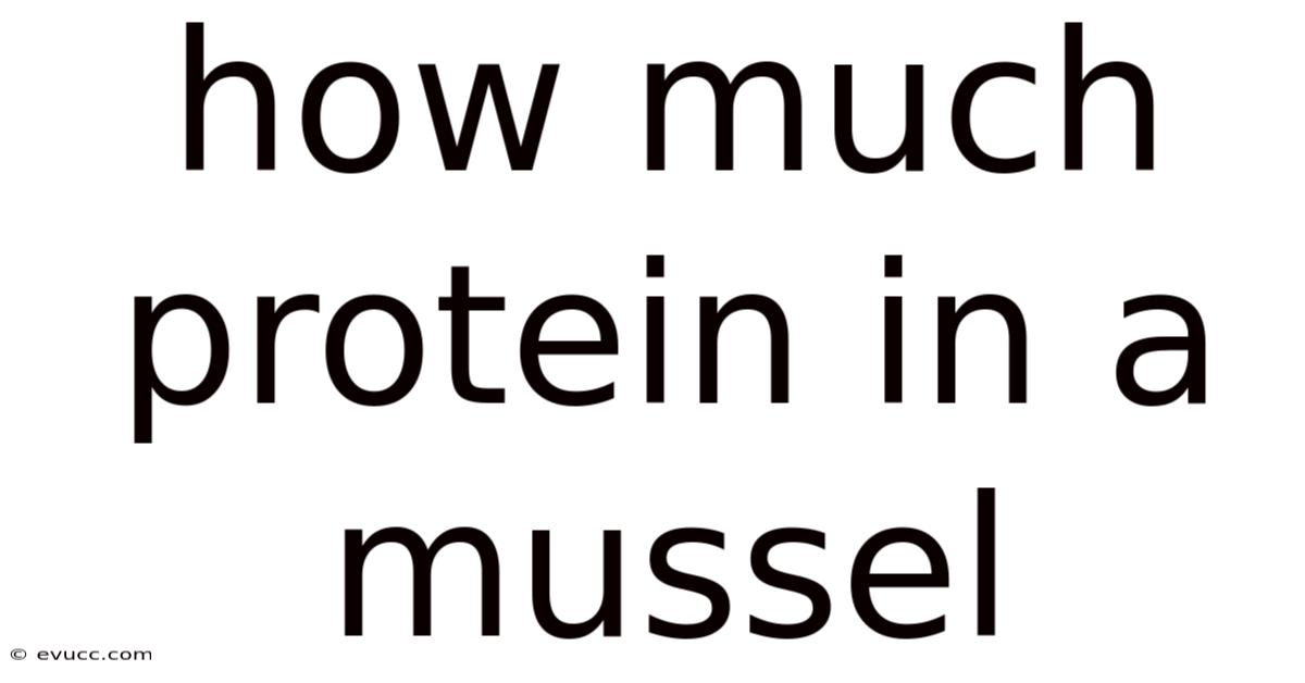 How Much Protein In A Mussel