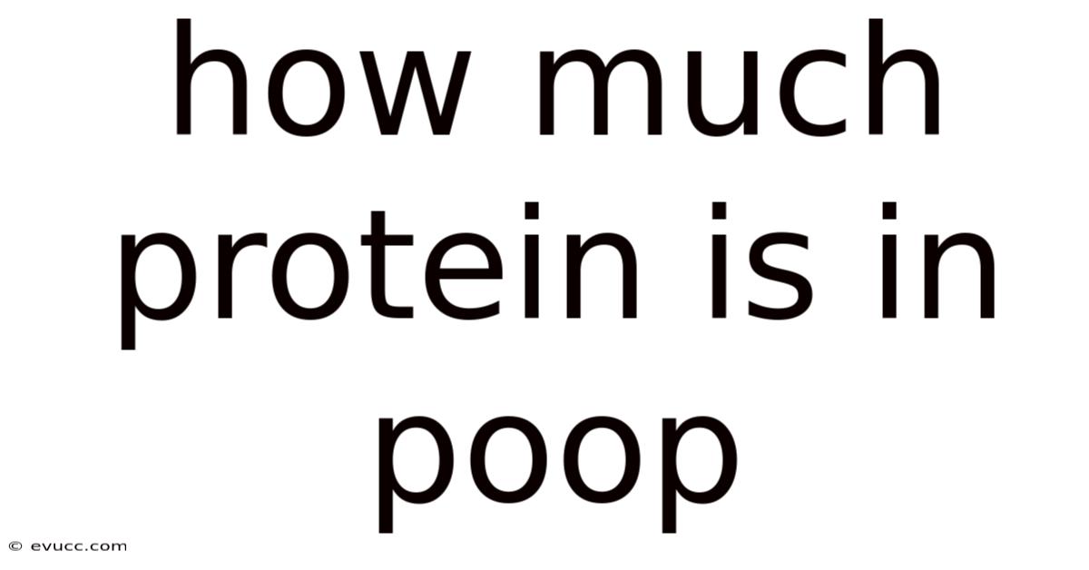 How Much Protein Is In Poop