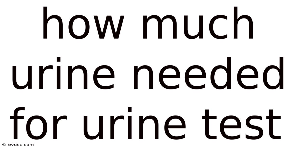 How Much Urine Needed For Urine Test
