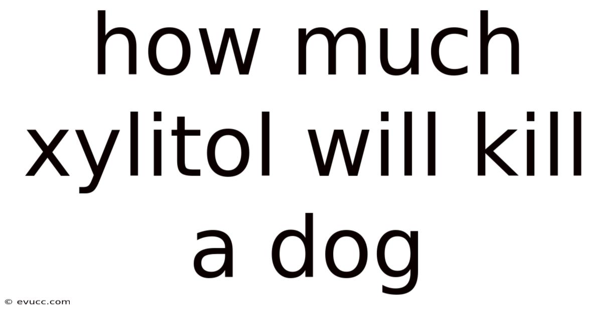 How Much Xylitol Will Kill A Dog