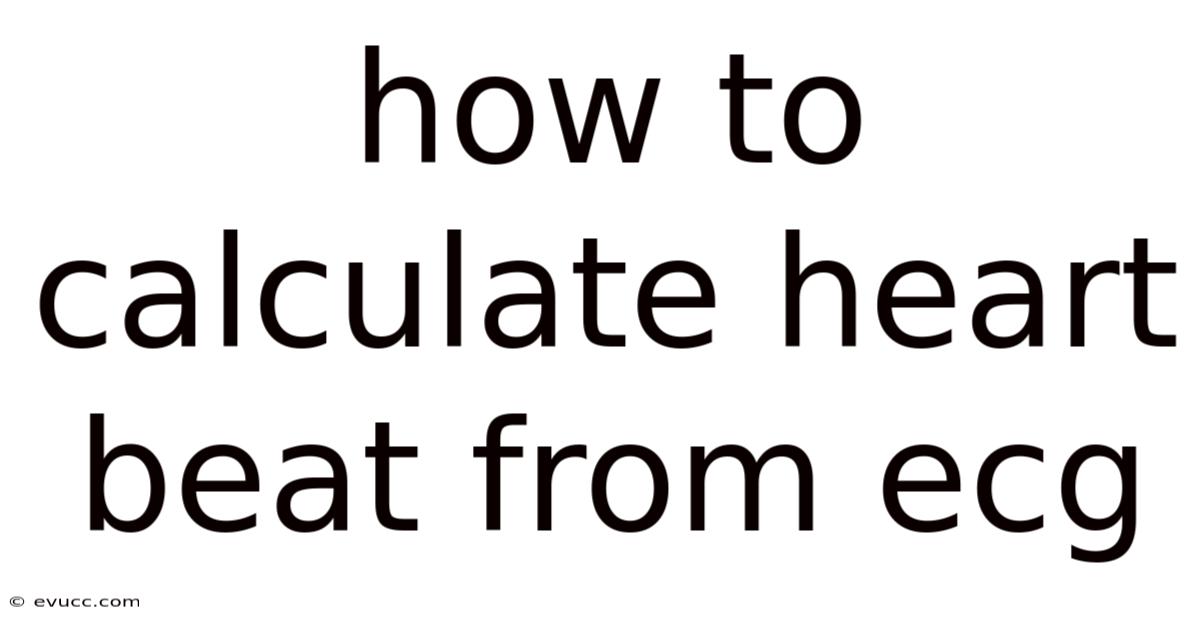 How To Calculate Heart Beat From Ecg