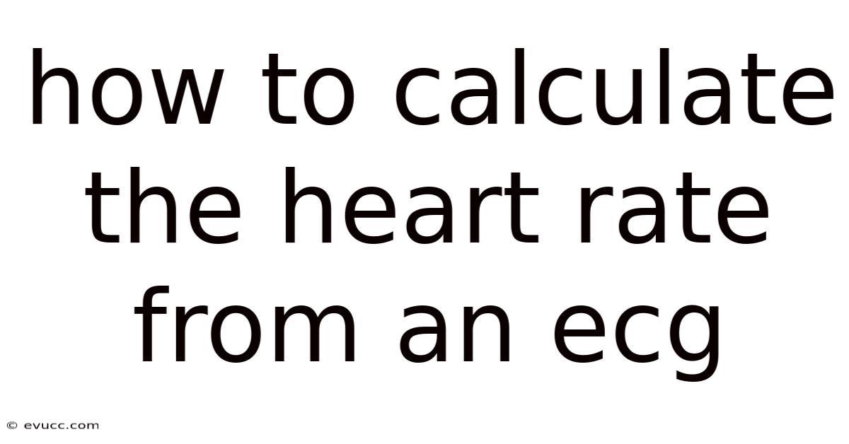 How To Calculate The Heart Rate From An Ecg