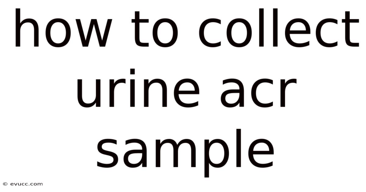 How To Collect Urine Acr Sample