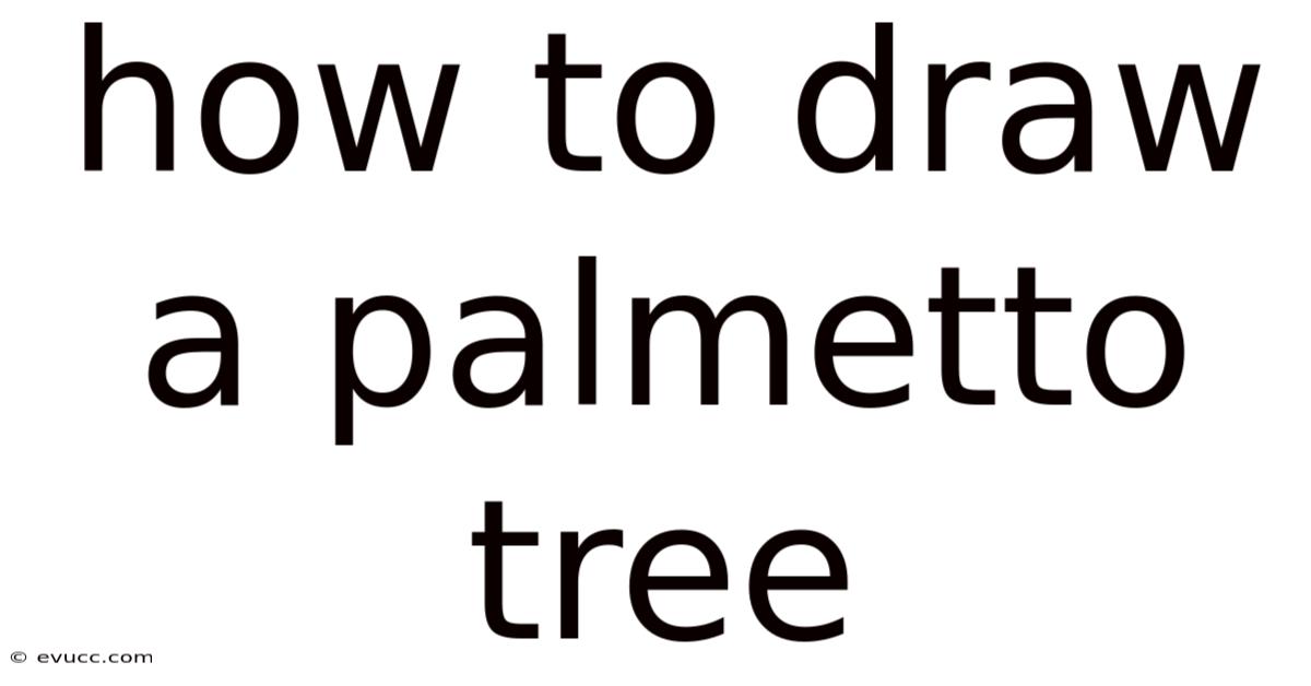 How To Draw A Palmetto Tree