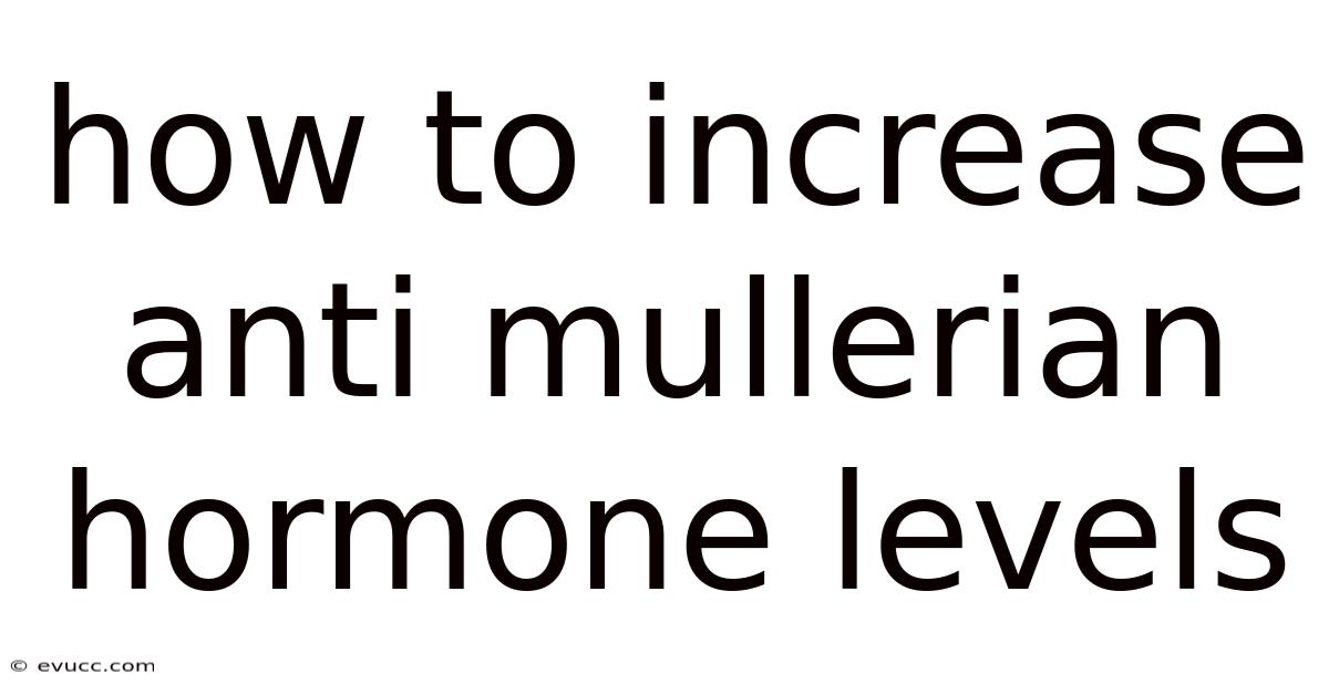 How To Increase Anti Mullerian Hormone Levels