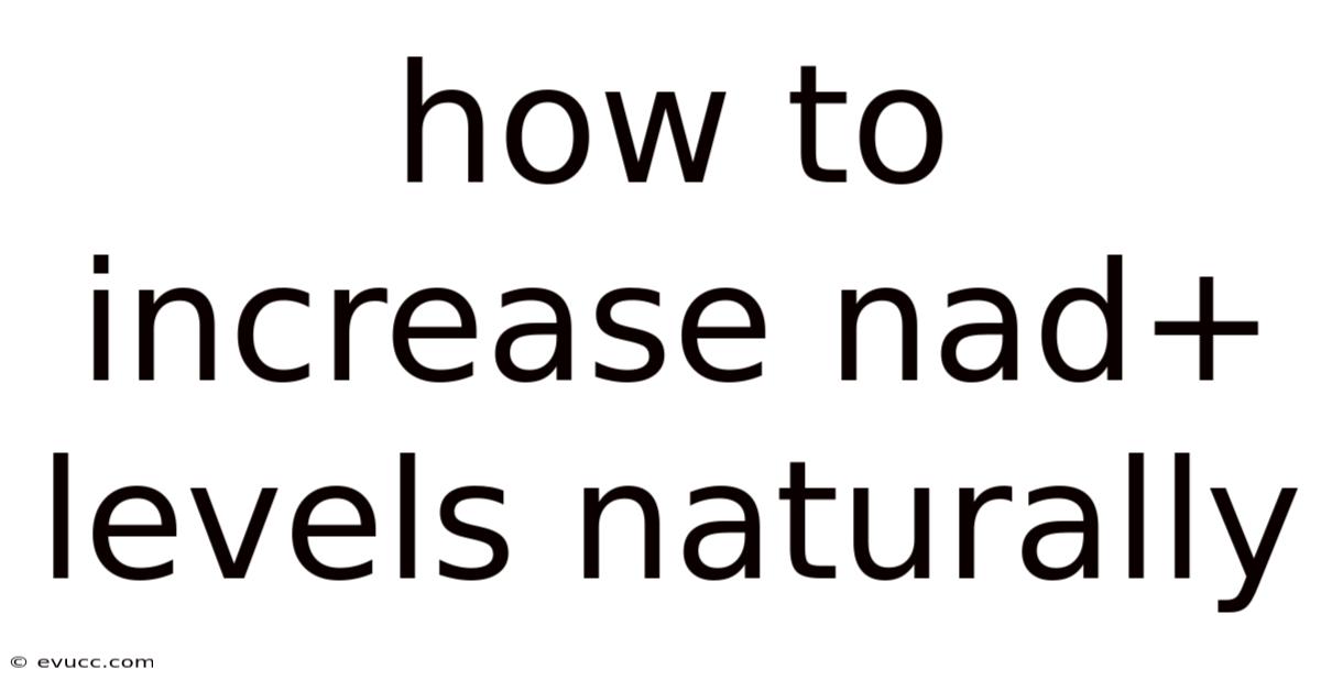 How To Increase Nad+ Levels Naturally