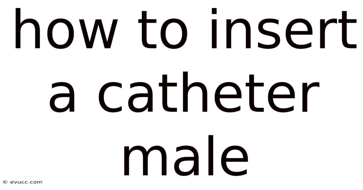 How To Insert A Catheter Male