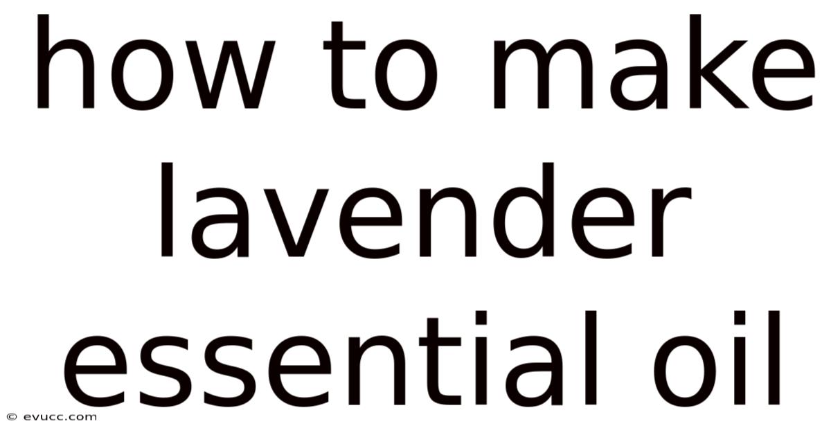 How To Make Lavender Essential Oil