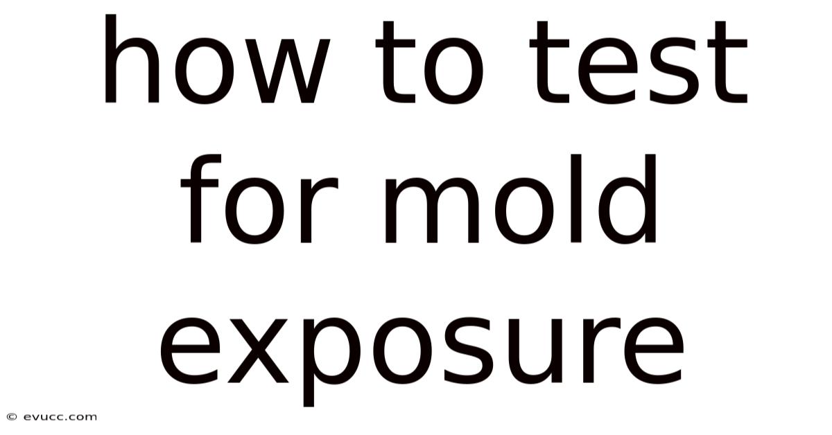 How To Test For Mold Exposure