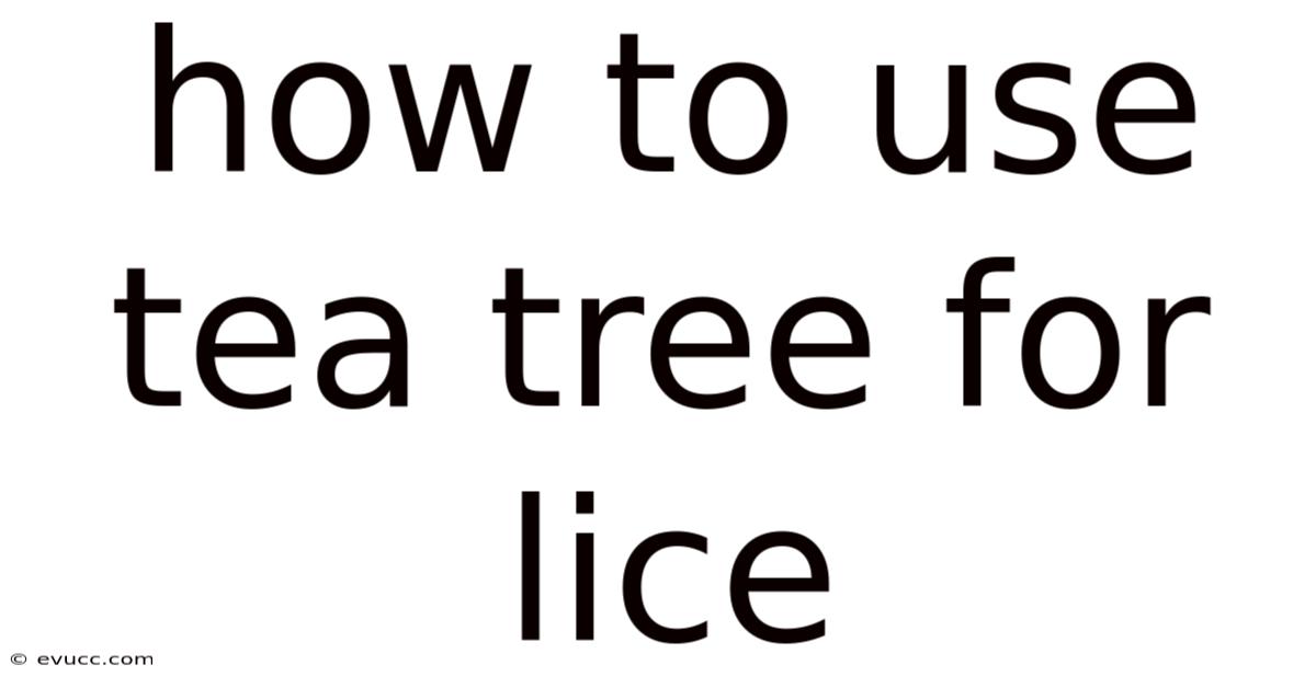 How To Use Tea Tree For Lice