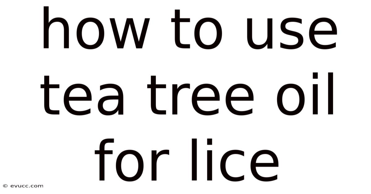 How To Use Tea Tree Oil For Lice