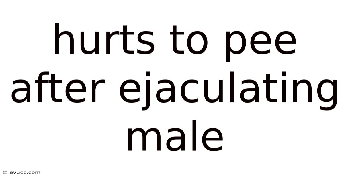 Hurts To Pee After Ejaculating Male