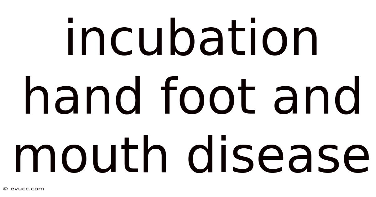 Incubation Hand Foot And Mouth Disease