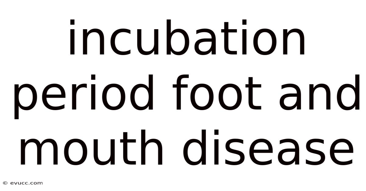 Incubation Period Foot And Mouth Disease
