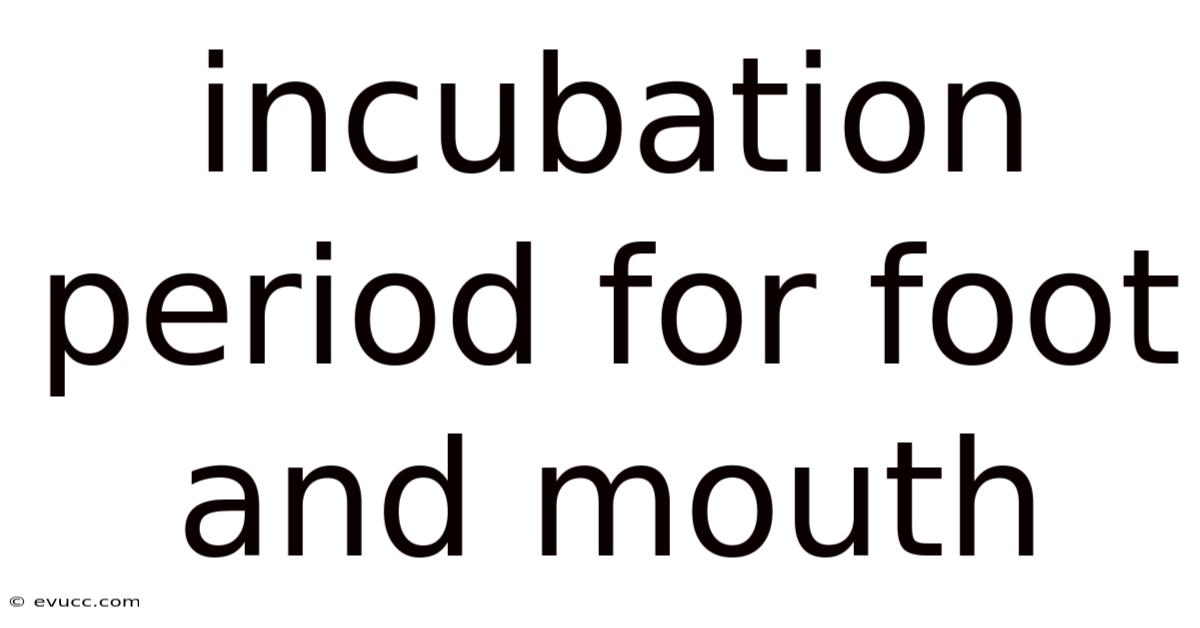 Incubation Period For Foot And Mouth