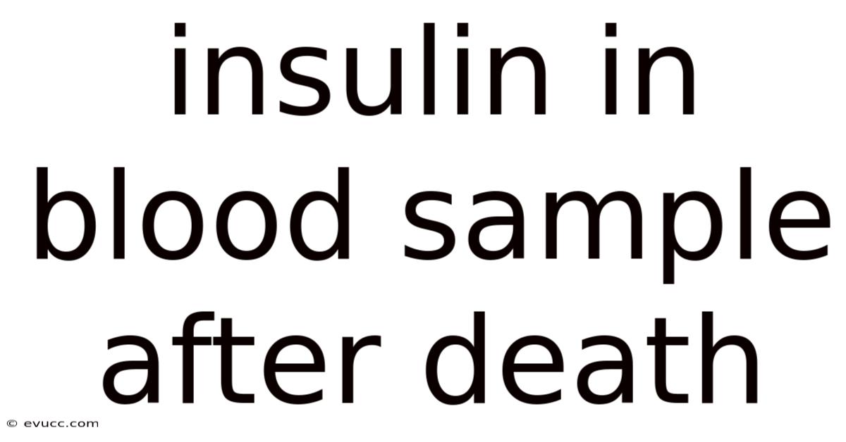 Insulin In Blood Sample After Death