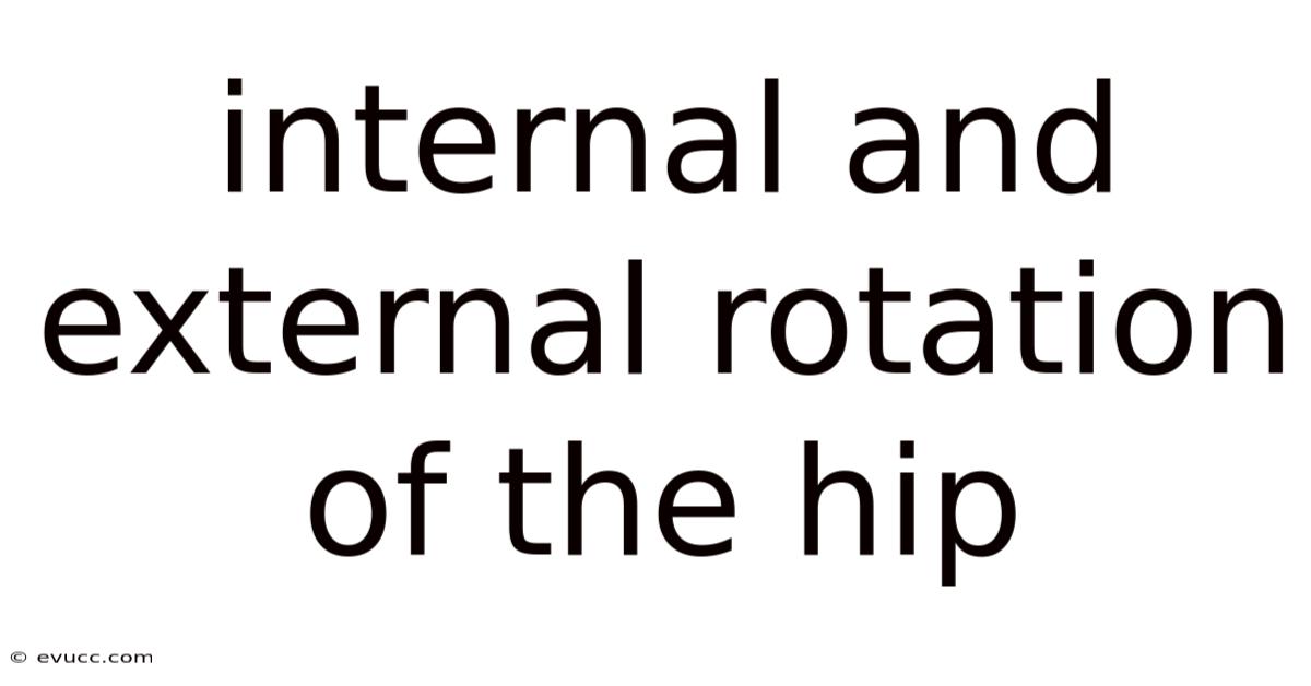 Internal And External Rotation Of The Hip