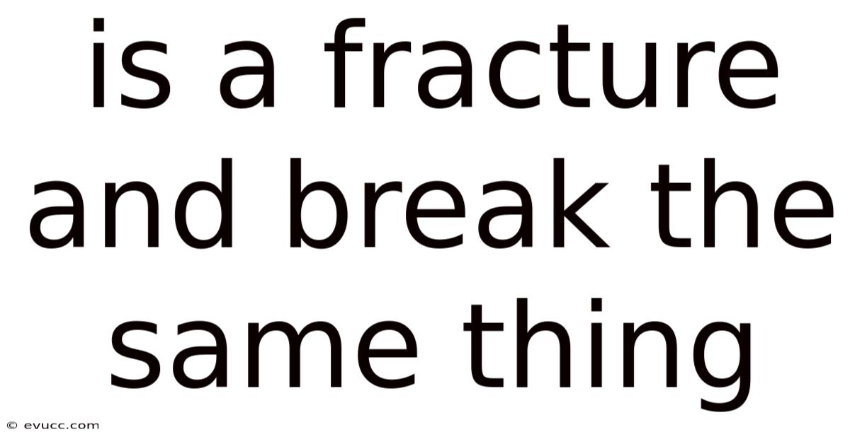 Is A Fracture And Break The Same Thing