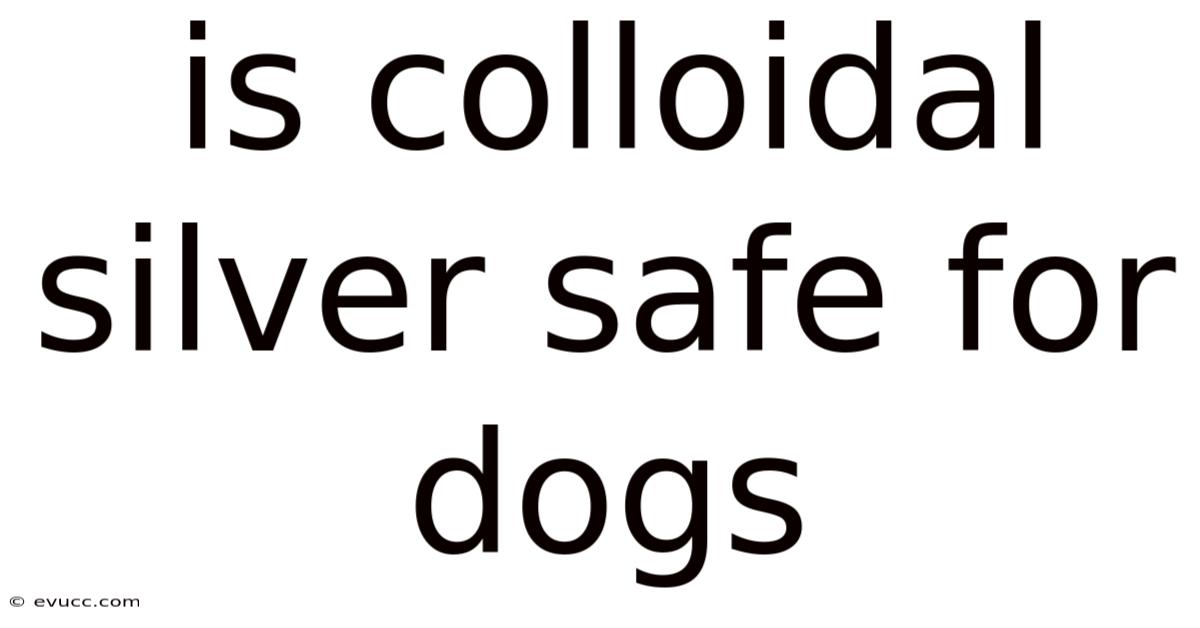 Is Colloidal Silver Safe For Dogs