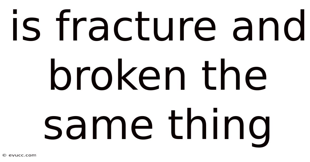 Is Fracture And Broken The Same Thing