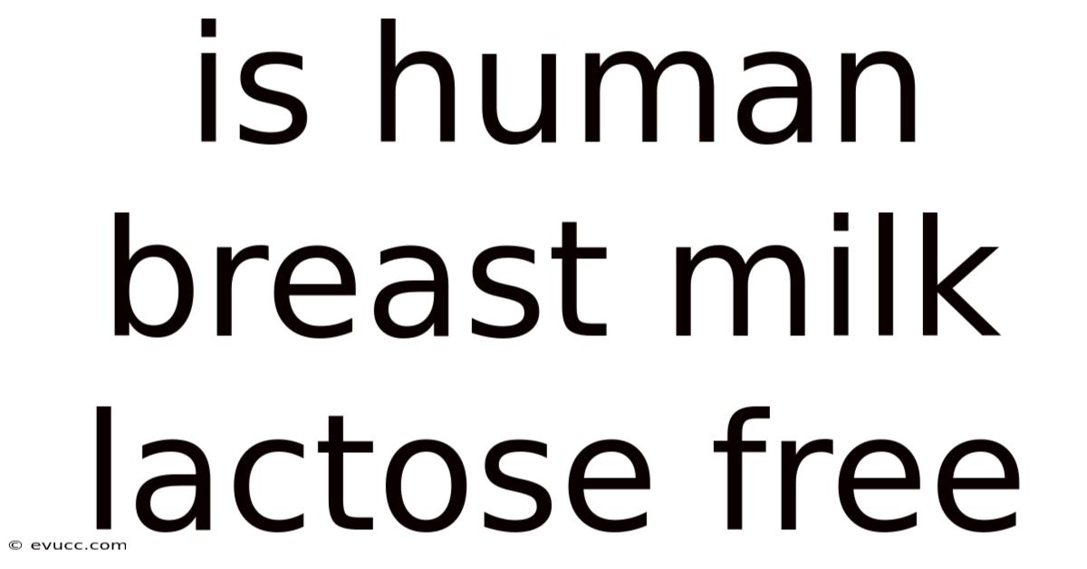 Is Human Breast Milk Lactose Free