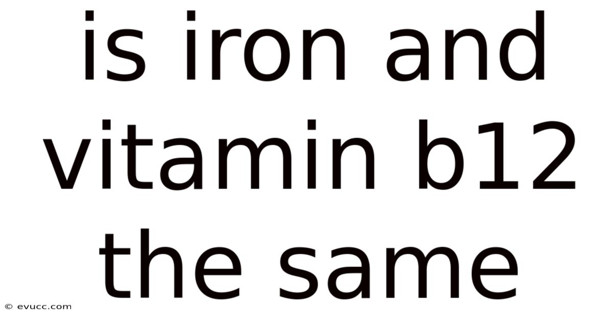 Is Iron And Vitamin B12 The Same