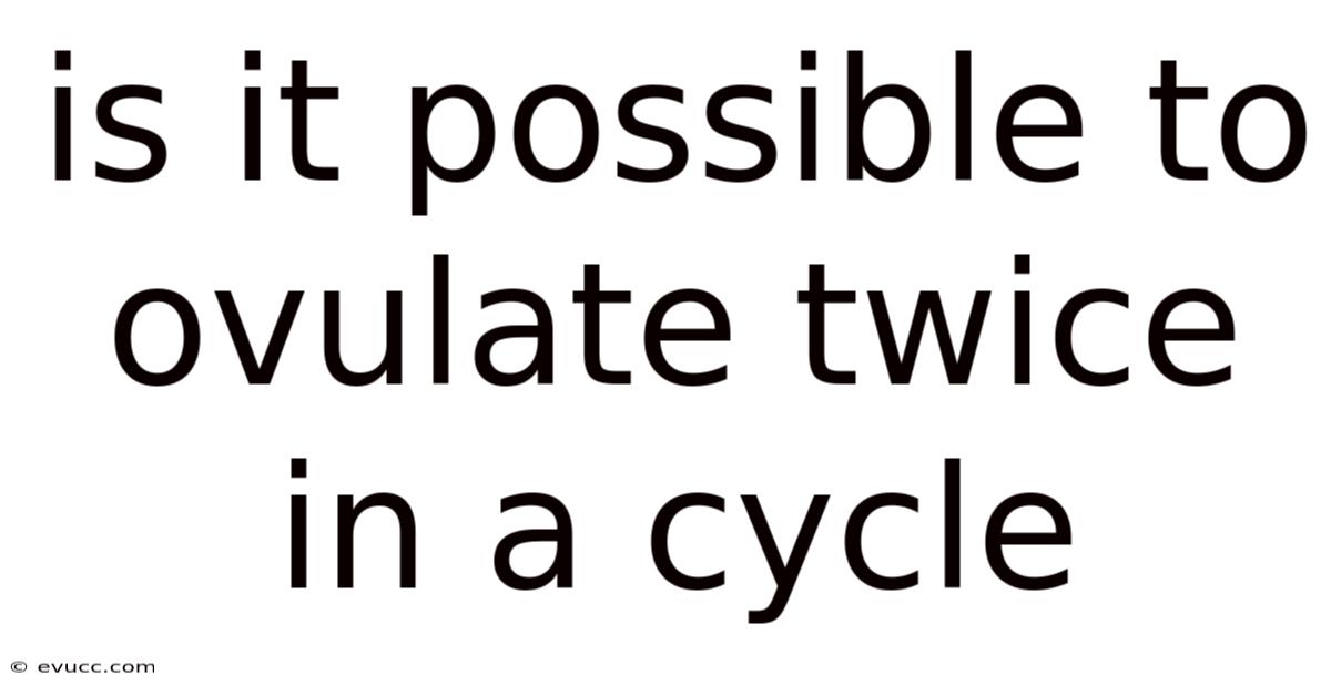 Is It Possible To Ovulate Twice In A Cycle