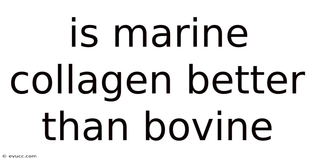 Is Marine Collagen Better Than Bovine