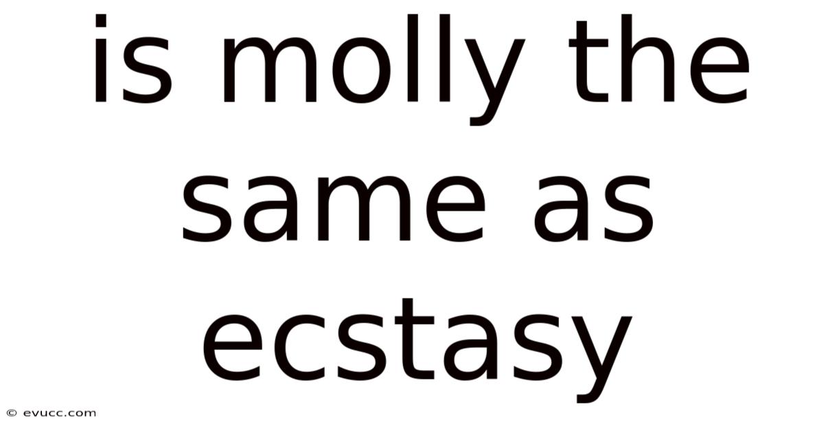 Is Molly The Same As Ecstasy