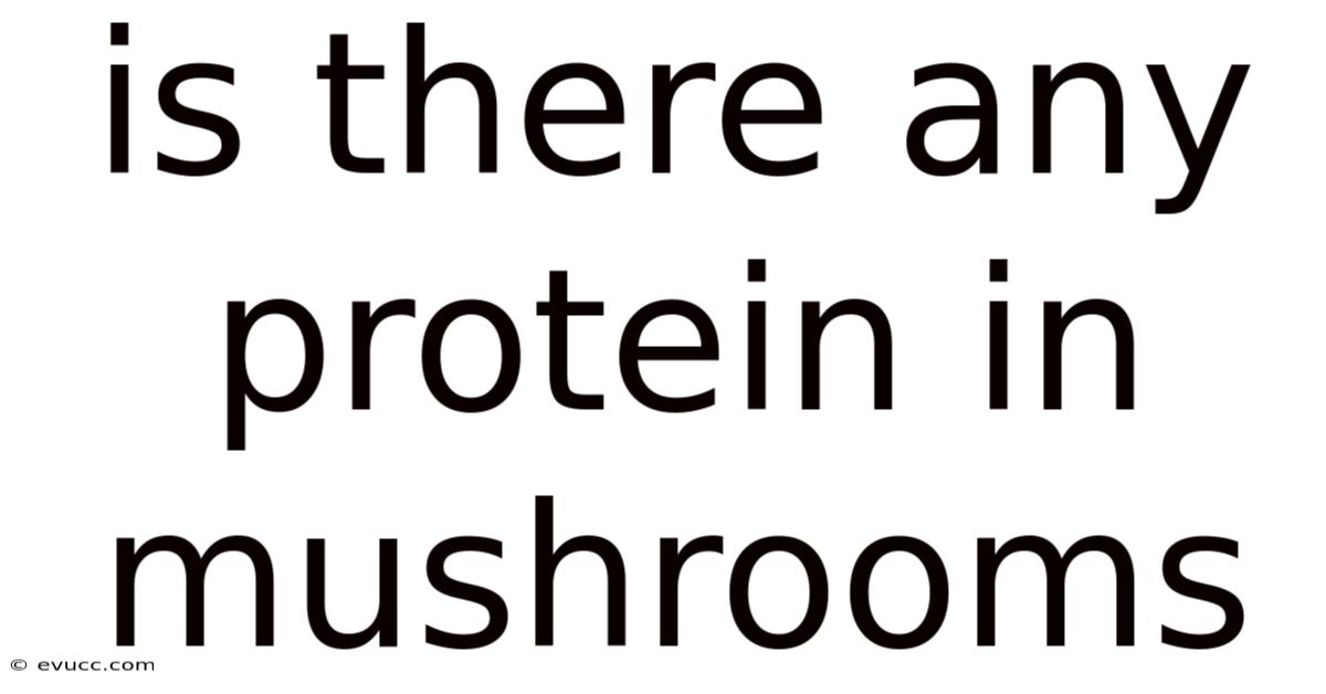 Is There Any Protein In Mushrooms