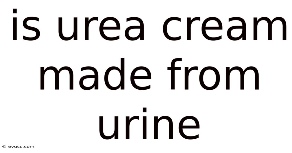 Is Urea Cream Made From Urine