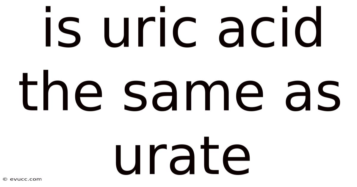Is Uric Acid The Same As Urate