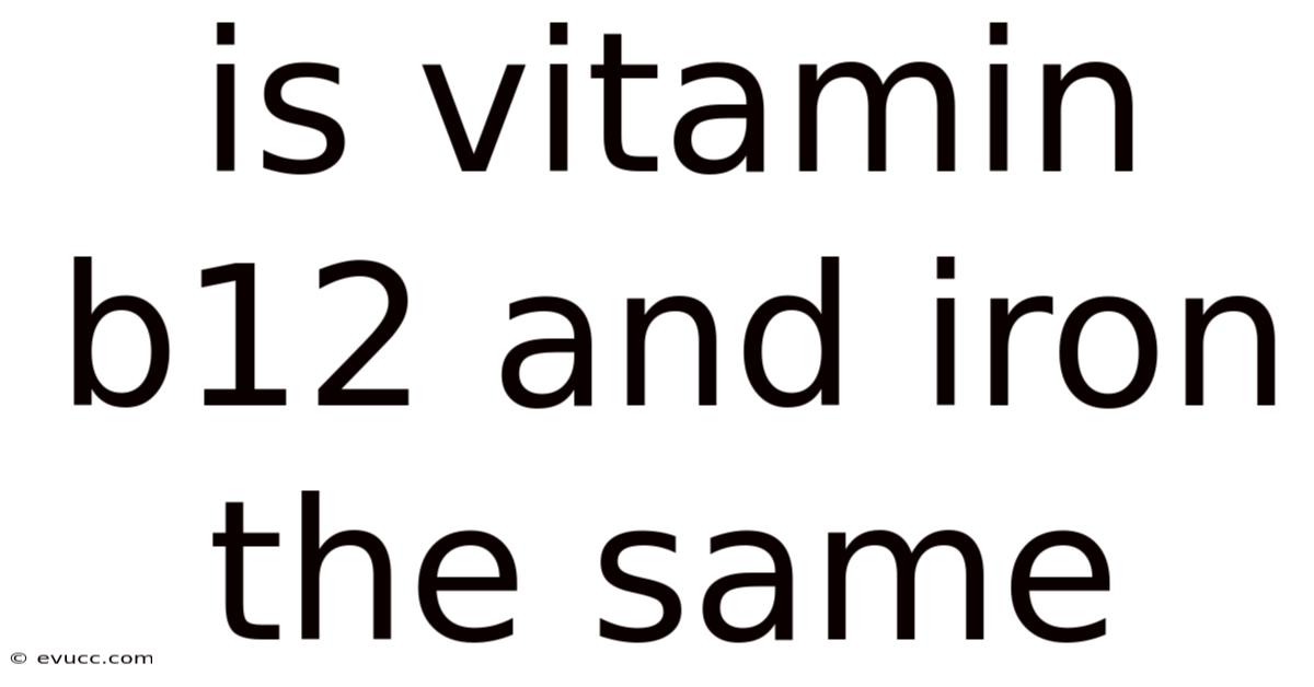 Is Vitamin B12 And Iron The Same