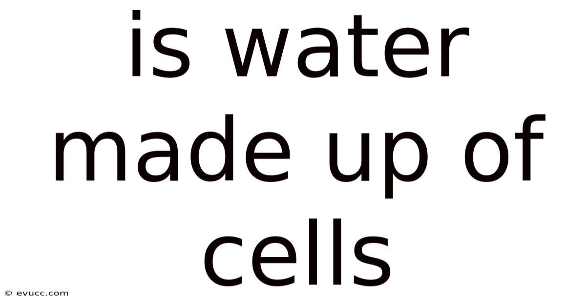 Is Water Made Up Of Cells