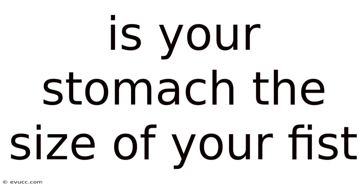 Is Your Stomach The Size Of Your Fist