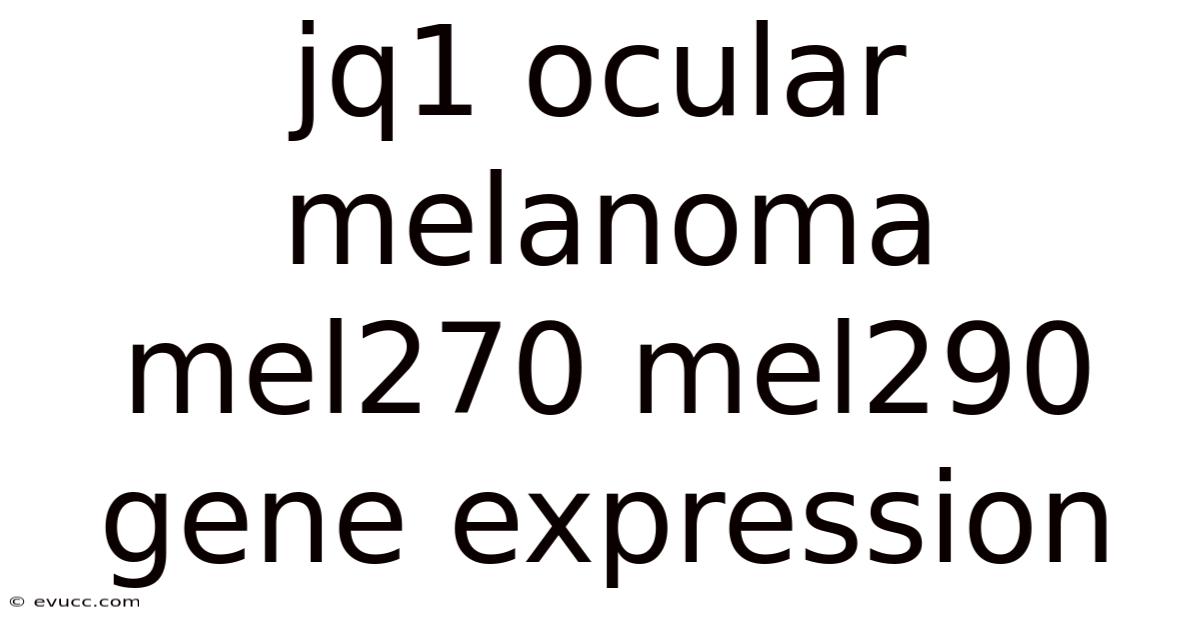 Jq1 Ocular Melanoma Mel270 Mel290 Gene Expression