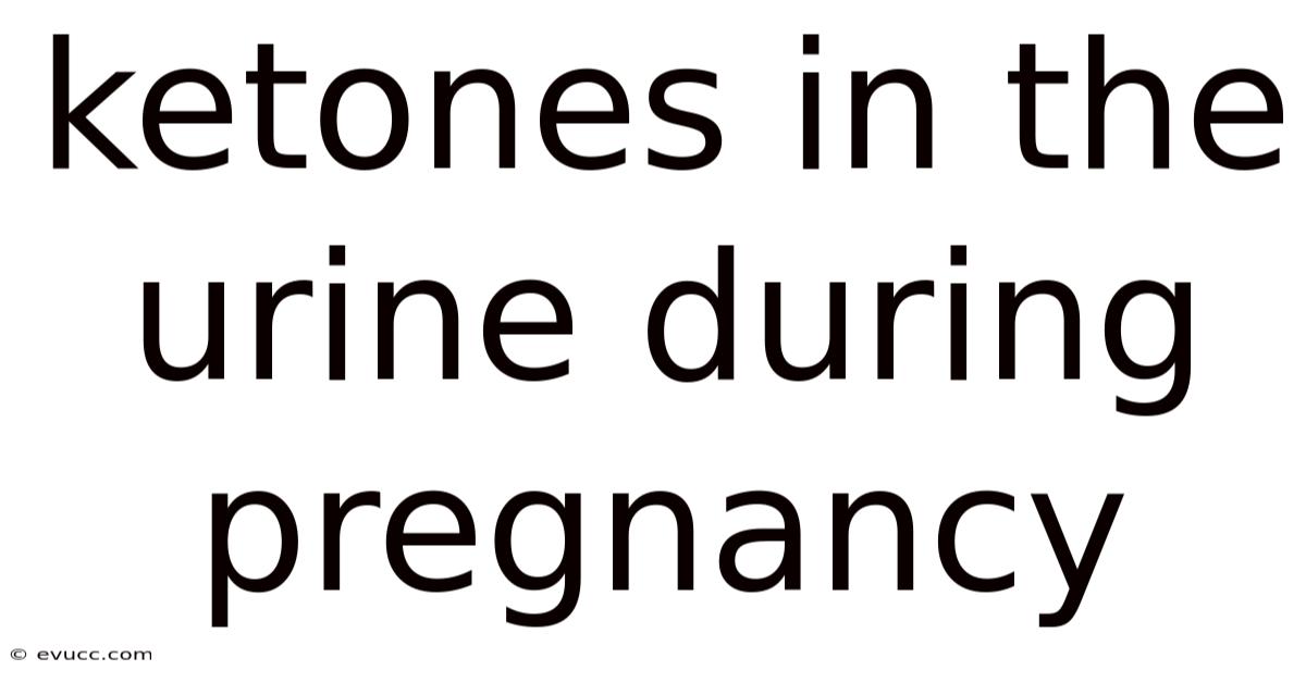 Ketones In The Urine During Pregnancy