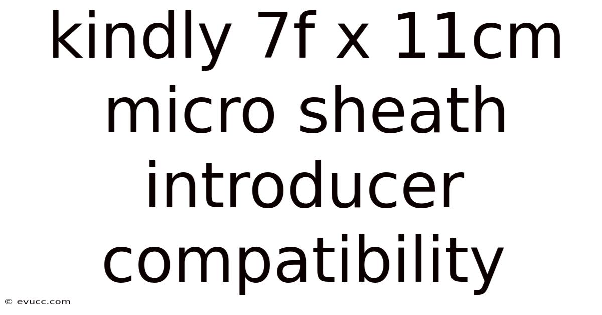 Kindly 7f X 11cm Micro Sheath Introducer Compatibility