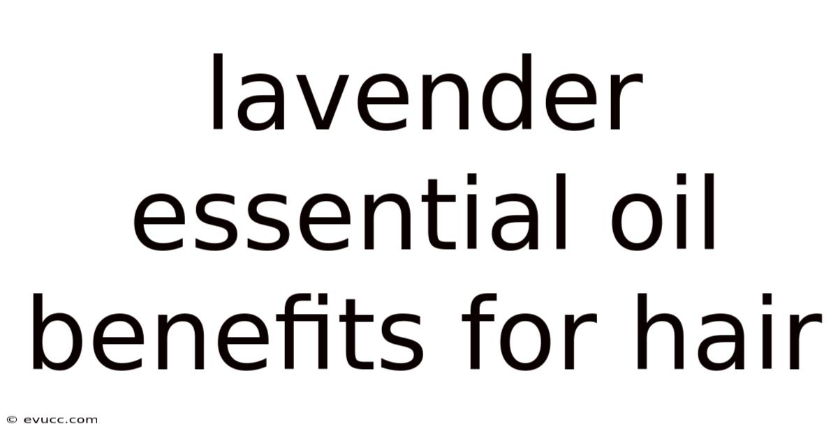 Lavender Essential Oil Benefits For Hair