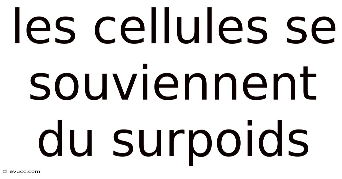 Les Cellules Se Souviennent Du Surpoids