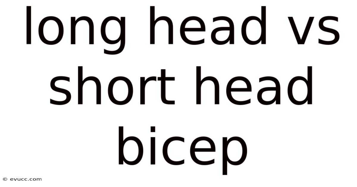 Long Head Vs Short Head Bicep