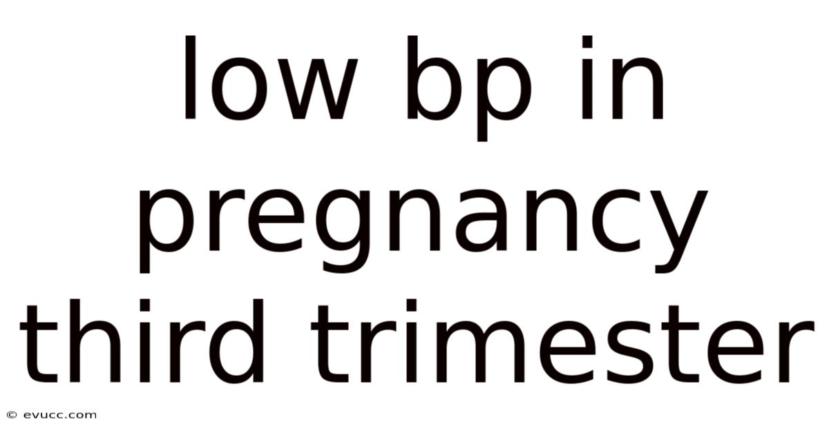 Low Bp In Pregnancy Third Trimester