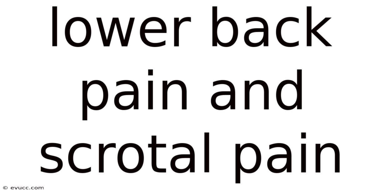 Lower Back Pain And Scrotal Pain