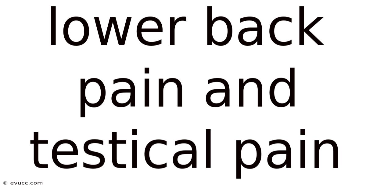 Lower Back Pain And Testical Pain