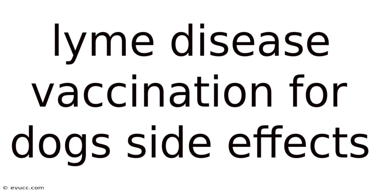 Lyme Disease Vaccination For Dogs Side Effects