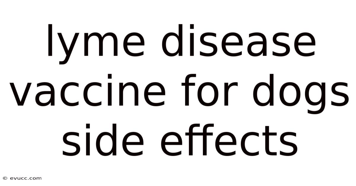 Lyme Disease Vaccine For Dogs Side Effects