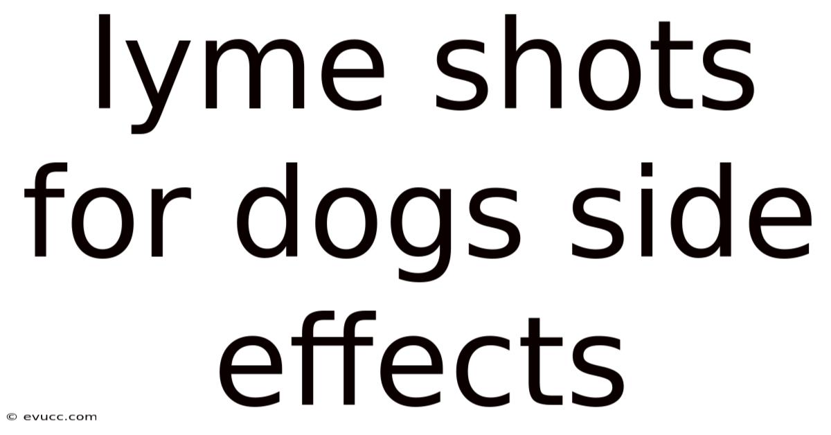 Lyme Shots For Dogs Side Effects