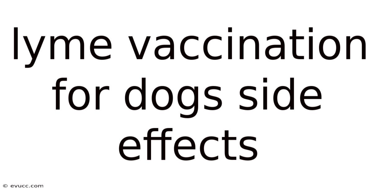 Lyme Vaccination For Dogs Side Effects