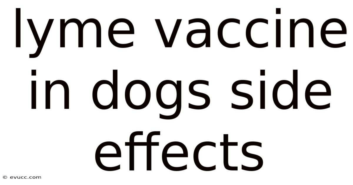 Lyme Vaccine In Dogs Side Effects